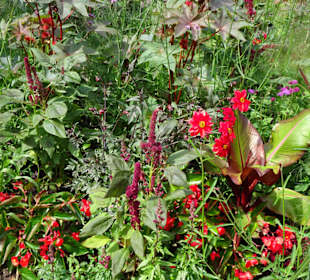 Rundgang durch den Park der Gärten