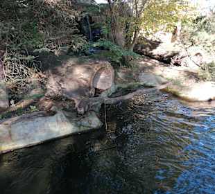 Zoologischer Garten Prag