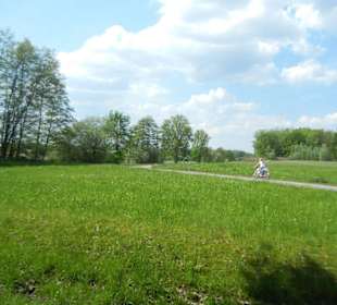 Naturschutzgebiet Boberger Niederung