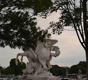 Jardin des Tuileries