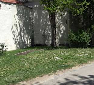 Freilichtbühne Nördlingen "Alte Bastei"