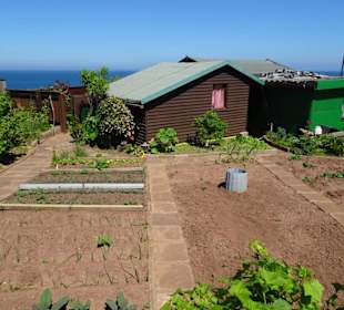 Rundgang durch die Schrebergarten-Kolonie