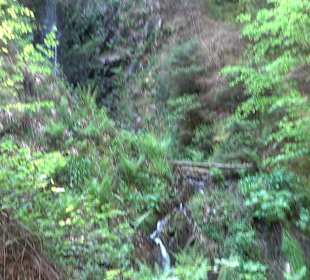 Griesbacher Wasserfälle Bad Griesbach