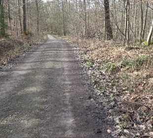 Gomaringer Rundweg - Zu den Giganten im Wald