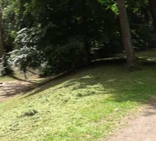 Schutzgebiet Spitzberg, Pfaffenberg