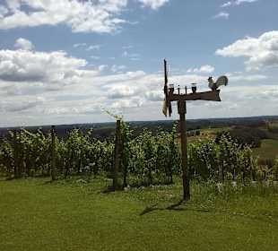 Ausblick vom Restaurant Gether in Rittschein 43