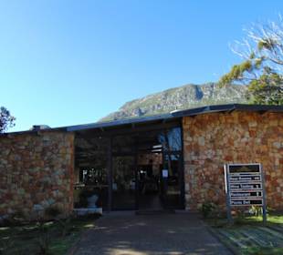 Cape Point Vineyards in Noordhoek
