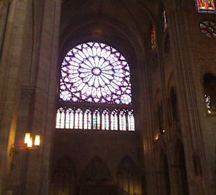 Uvnitř v Notre-Damu