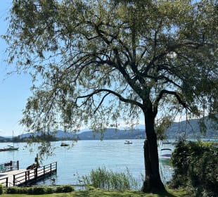 Stadtrundgang Pörtschach am Wörther See