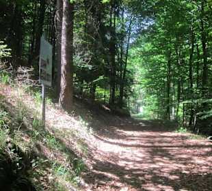 Westwallweg Oberotterbach