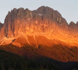 Blühender Rosengarten