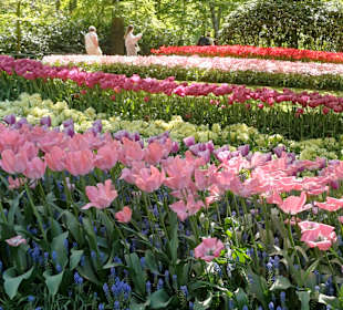 Keukenhof