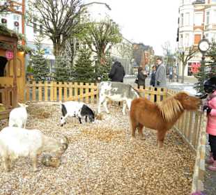 Weihnachtsmarkt Peine