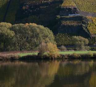 Wie ein Spiegel, die Mosel