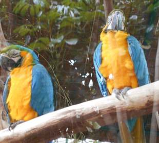 Was für Groß + Klein