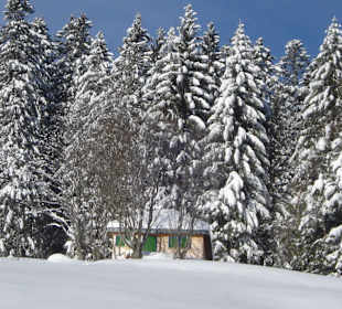Martin-Heidegger-Hütte im Schnee