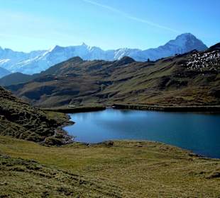 Höhenweg First-Faulhorn-Schynige Platte (1)