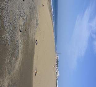 Dünen von Maspalomas