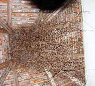 Kleines Haus im Burgbereich Innen