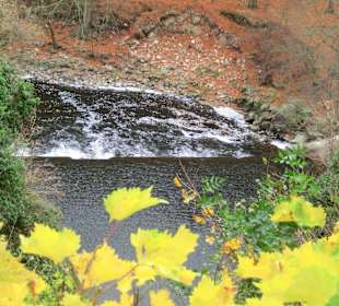 Blick zur Grunau unterhalb der Burg