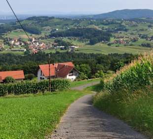 Blick nach St.Nikolai