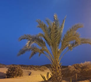 Stadtrundgang Playa del Ingles