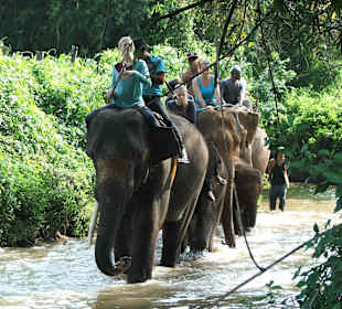 Durch die schöne Natur Nordthailands