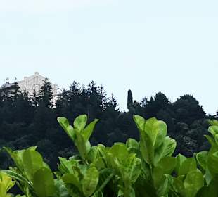 Madonna di Montecastello