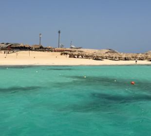 Paradise Island