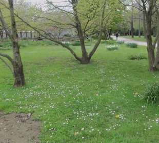 Kannenfeldpark