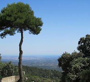 Santuari de Nostra Senyora de Cura