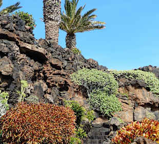Jameos del Agua Cesar Manrique