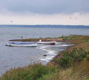 Holnis Naturreservoir