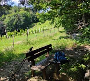 Bankerl an der Grenze