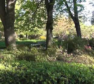 Real Jardín Botánico de Madrid