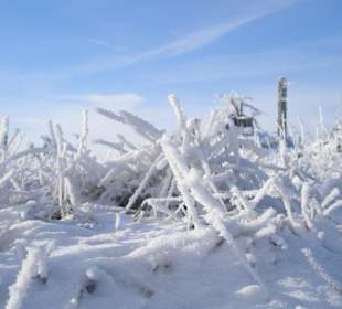 Umgebung in direkter Nähe