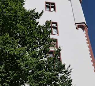 Die Kurfürstliche Burg Eltville