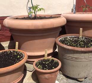 Fachwerkhaus Altenhoferstraße 3