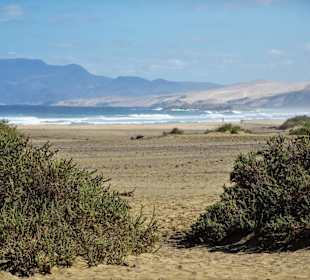 Auf dem Weg zur Playa de Cofete