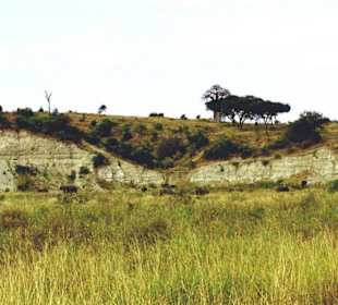 Tarangire Nationalpark 