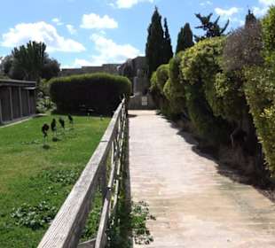 Malta Falconry Centre