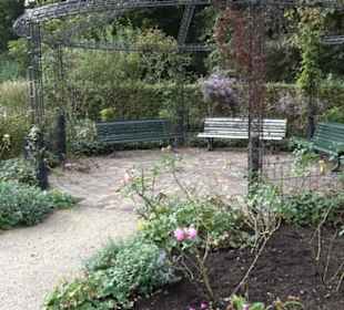 Rosengarten im Tiergarten