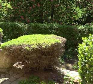 Rosengarten Nördlingen