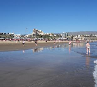 Strandlauf am Wassersaum