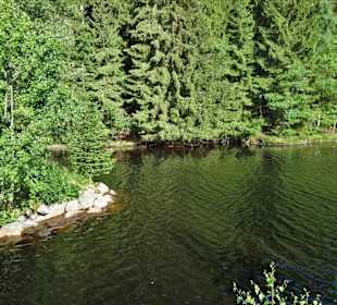 Eindrücke vom Rundgang um den Fichtelsee