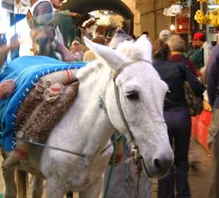 Fes