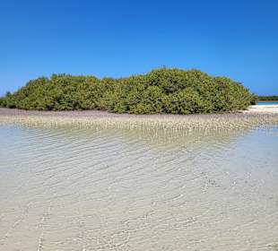 El Qulaan Lagoon