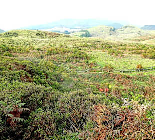 Inselrundfahrt Terceira