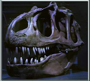 Elder-Museum Las Palmas