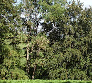 Wechselspiel von Licht und Schatten